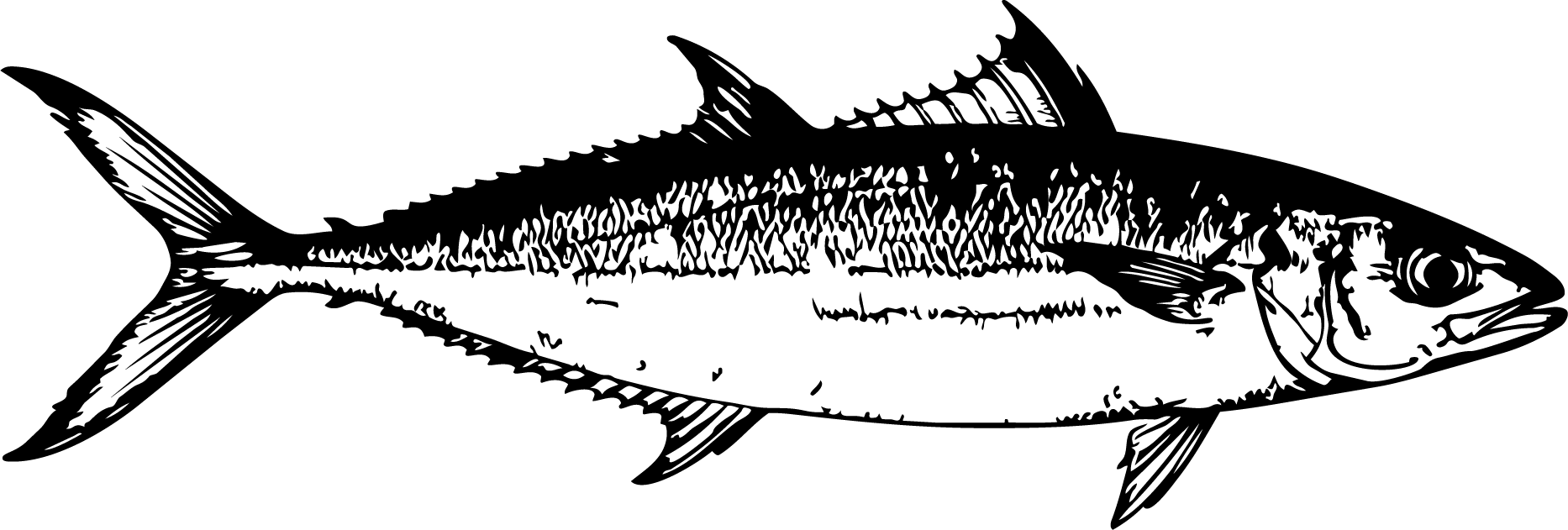 Sardinata