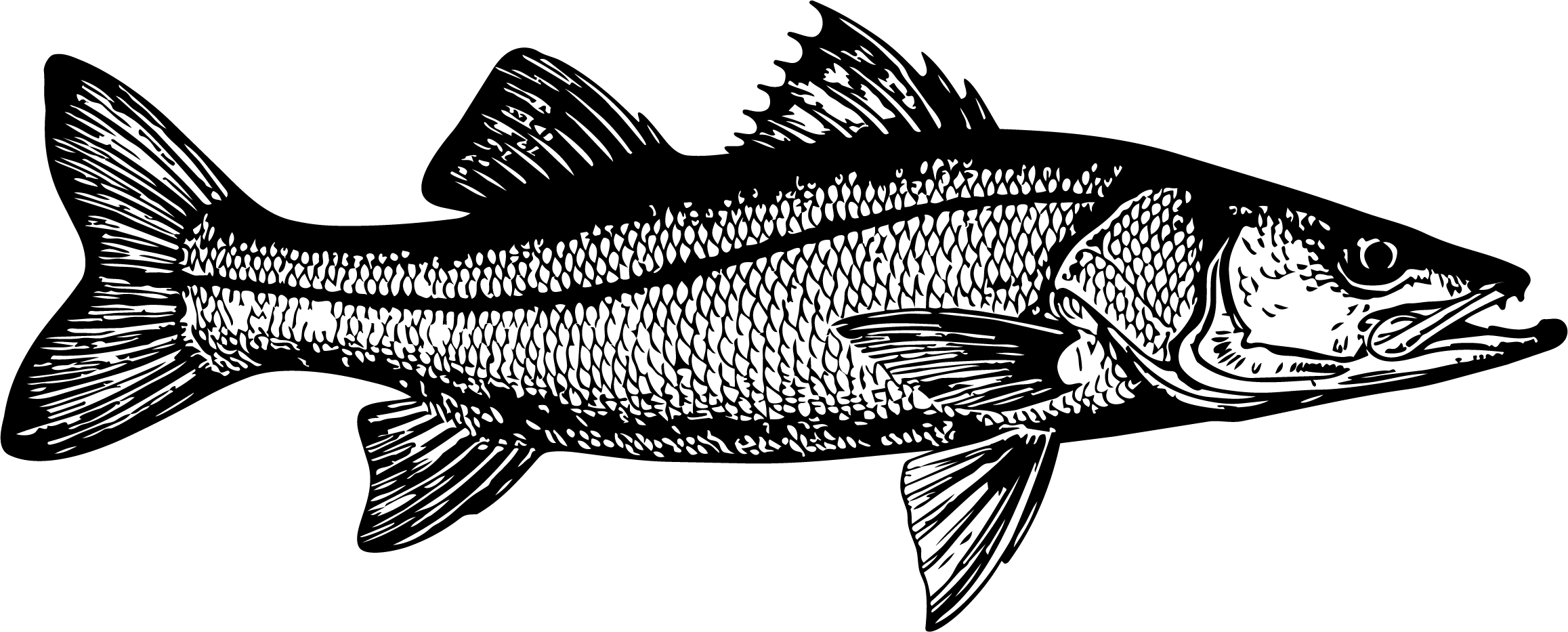 Róbalo