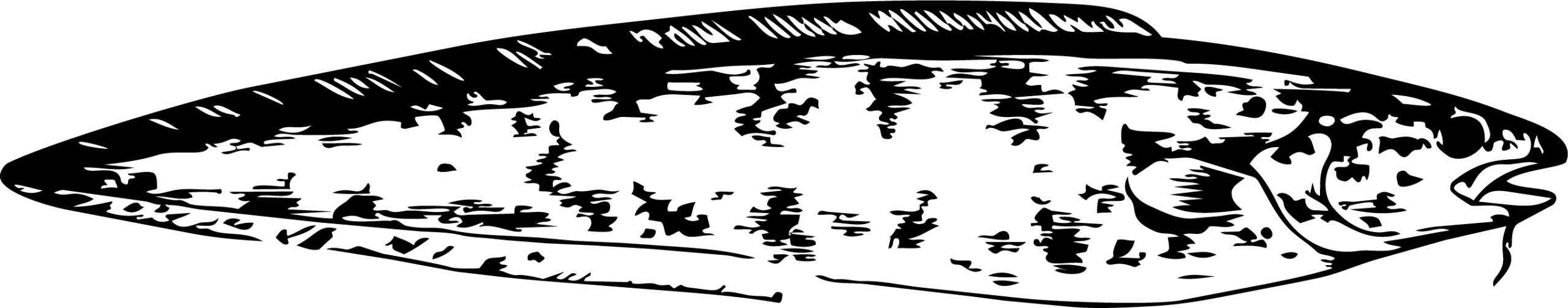 Merluza