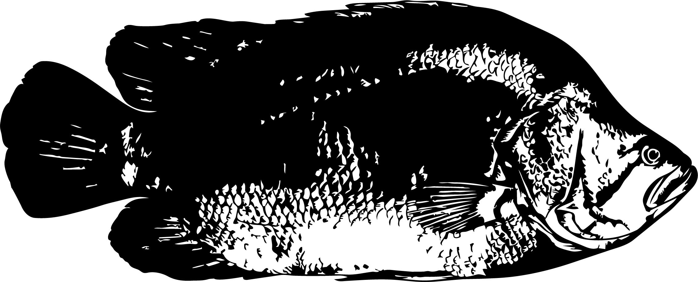 Berrugate
