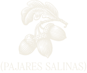 Pajares Salinas